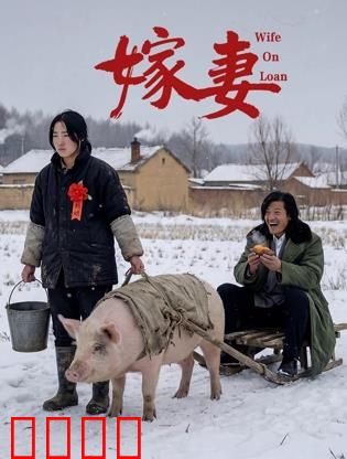 嫁妻：绝境逆袭
