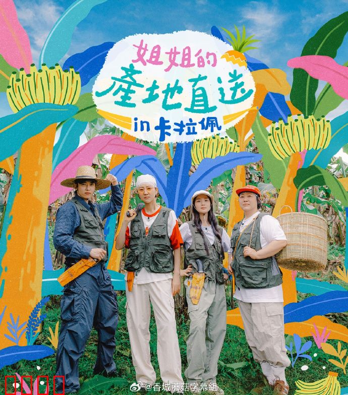 姐姐家的产地直送3：情迷农庄