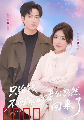 只给钱不回家的老公忽然回来了：妻子的抉择