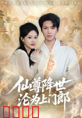 仙尊降世沦为上门郎：扮猪吃虎逆袭