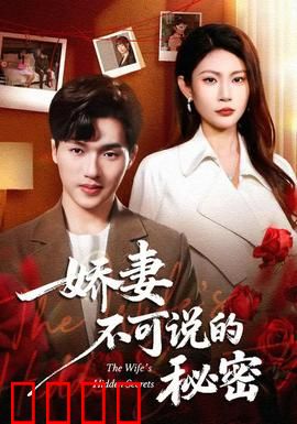 娇妻不可说的秘密：婚后债务真相