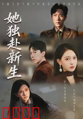 她独赴新生：逆袭风暴