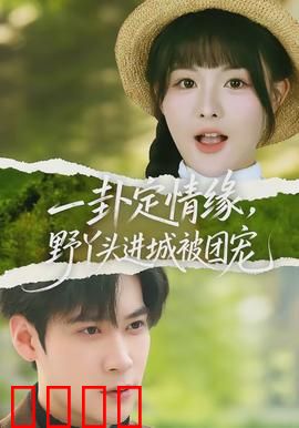 一卦定情缘，野丫头进城被团宠：周易神算成团宠