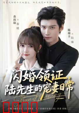 闪婚领证，陆先生的宠妻日常：先婚后爱甜炸