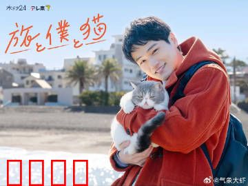 旅行和我和猫：治愈系旅途
