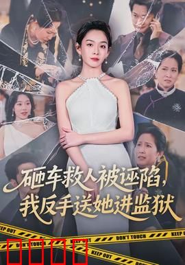 砸车救人被诬陷，我反手送她进监狱：自食恶果