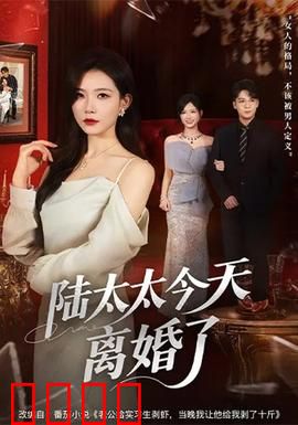 陆太太今天离婚了：逆袭霸总
