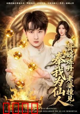 赘婿炼丹，老婆撞见，奉我为仙人：逆袭修仙录