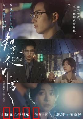 知京冬风雪：一段北国奇缘