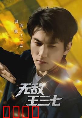 无敌王三七：黑帮大佬的逆袭