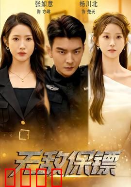 无敌保镖：为爱复仇