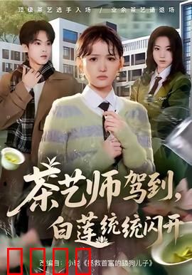 茶艺师驾到白莲统统闪开：斗渣男展茶道