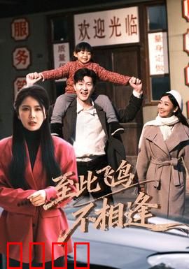 到此飞鸟不相逢：错过的爱