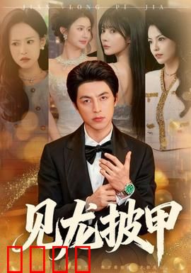 见龙披甲：铁血忠魂护国门