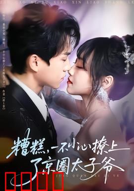 糟糕，一不小心撩上了京圈太子爷：京城迷情记