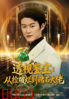 透视鉴宝：一眼识真伪