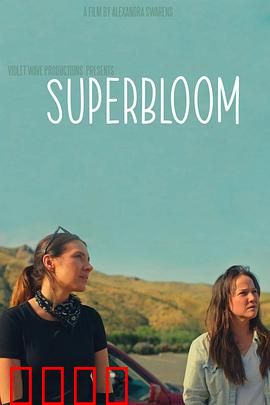 心花怒放：离婚猎艳之旅