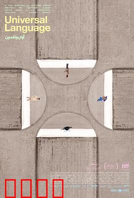 共同的语言：无声的纽带