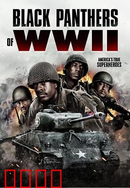 二战黑豹：钢铁猛兽的传奇