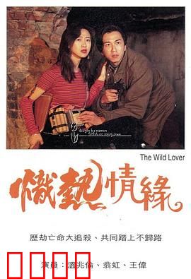 炽热情缘粤语：爱火重燃记