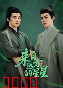 来自远方的星星：孤独的星际旅者