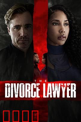 离婚律师：爱情胜诉