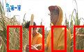 台湾第一等：寻根之旅