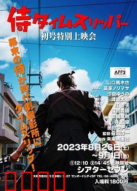 穿越武士：代码斩乱世