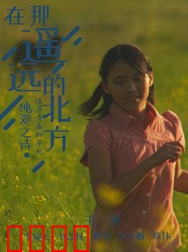 在那遥远的北方：冰原救赎