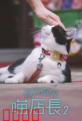 他和她的喵店长2：猫咖爱情续章