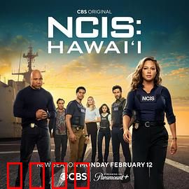 海军罪案调查处：神探联盟