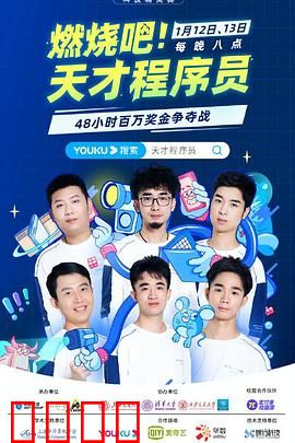 燃烧吧！天才程序员：极客逆袭