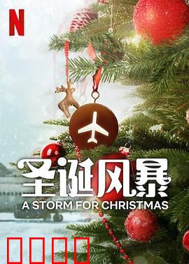 圣诞风暴：暴风雪中的奇迹