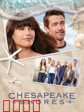 湾畔倾情第五季：爱情终章