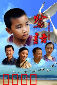 鹭语：人与自然和谐曲
