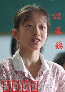 红尾鸽：绝境信使