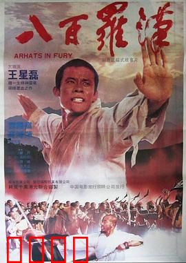 八百罗汉：铁骨护经魂