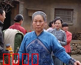 野茱萸：乡村情仇