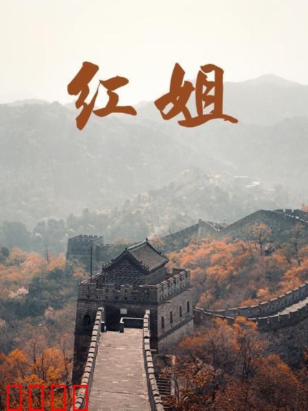 红姐2017：命运逆转