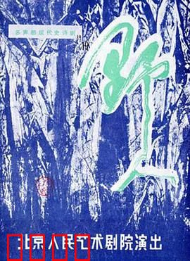 野人：失落的文明之谜