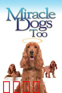 天降神犬2：篮球巨星再度归来