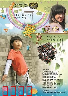 爱在回响：错过的旋律