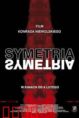 对称：镜中双生