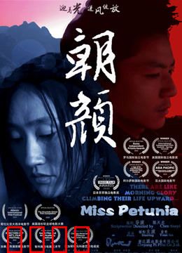 朝颜：生命的延续与绽放