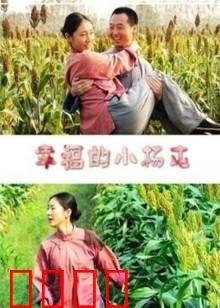 幸福的小杨屯：致富新篇章