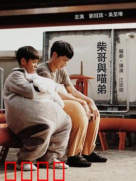 柴哥与喵弟：萌宠冒险记