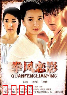 拳风恋影：铁拳下的深情