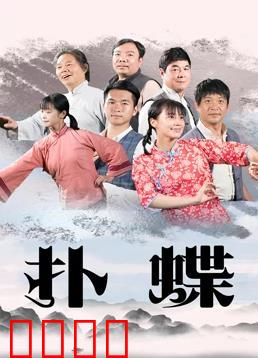 扑蝶：真相藏在蝶翼间