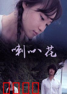 牵牛花：顽强绽放