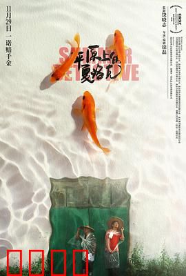 平原上的夏洛克：土味侦探破案记